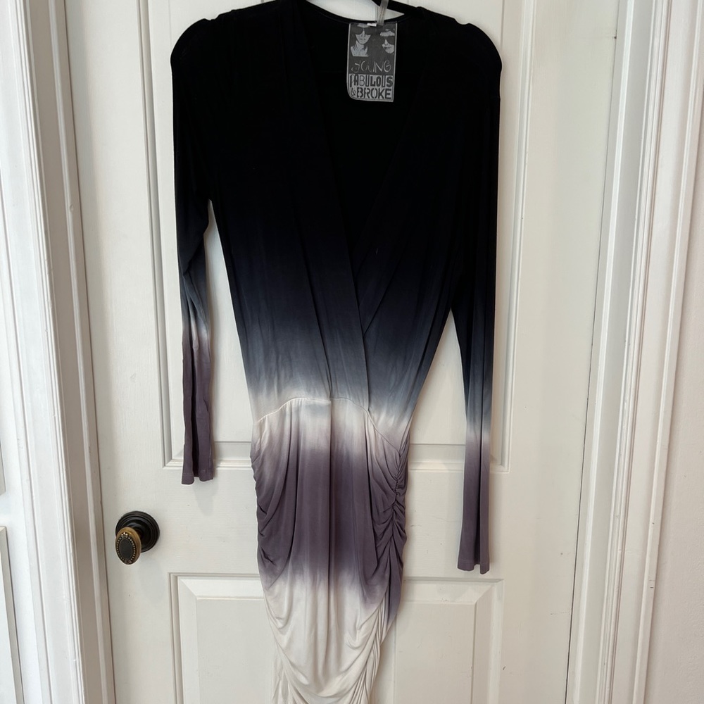 Young,broke and fabulous dress size Large